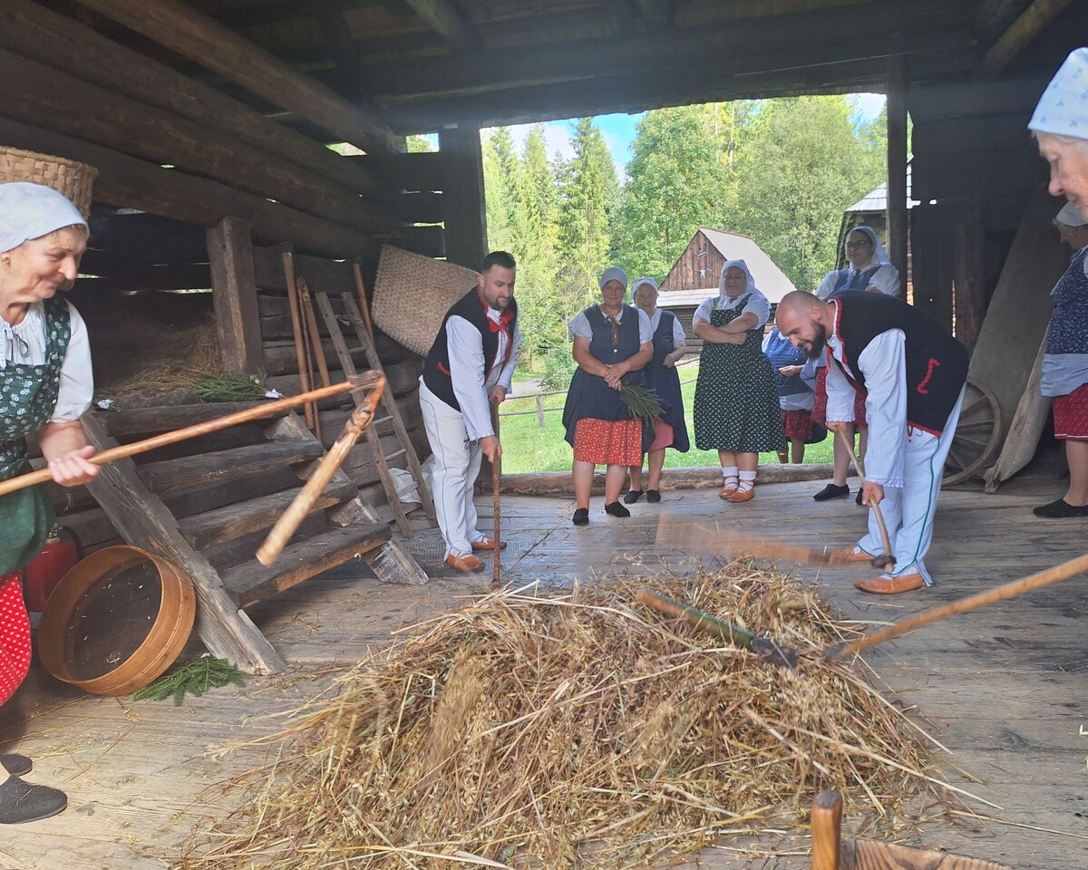 dožinky foto 1