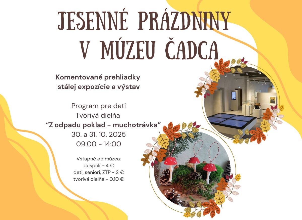 Komentované prehliadky stálej expozície Dejiny Čadce a okolia a výstav Čo sa skrýva pod šatami Tajomstvo erbových figúr Kysuce v období druhej svetovej vojny Program pre deti Tvorivá dielňa Z odp