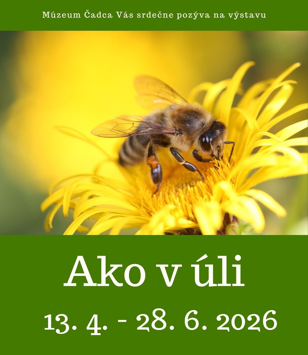 Brown with Mosquito Insect World Malaria Day Poster – kópia - 1