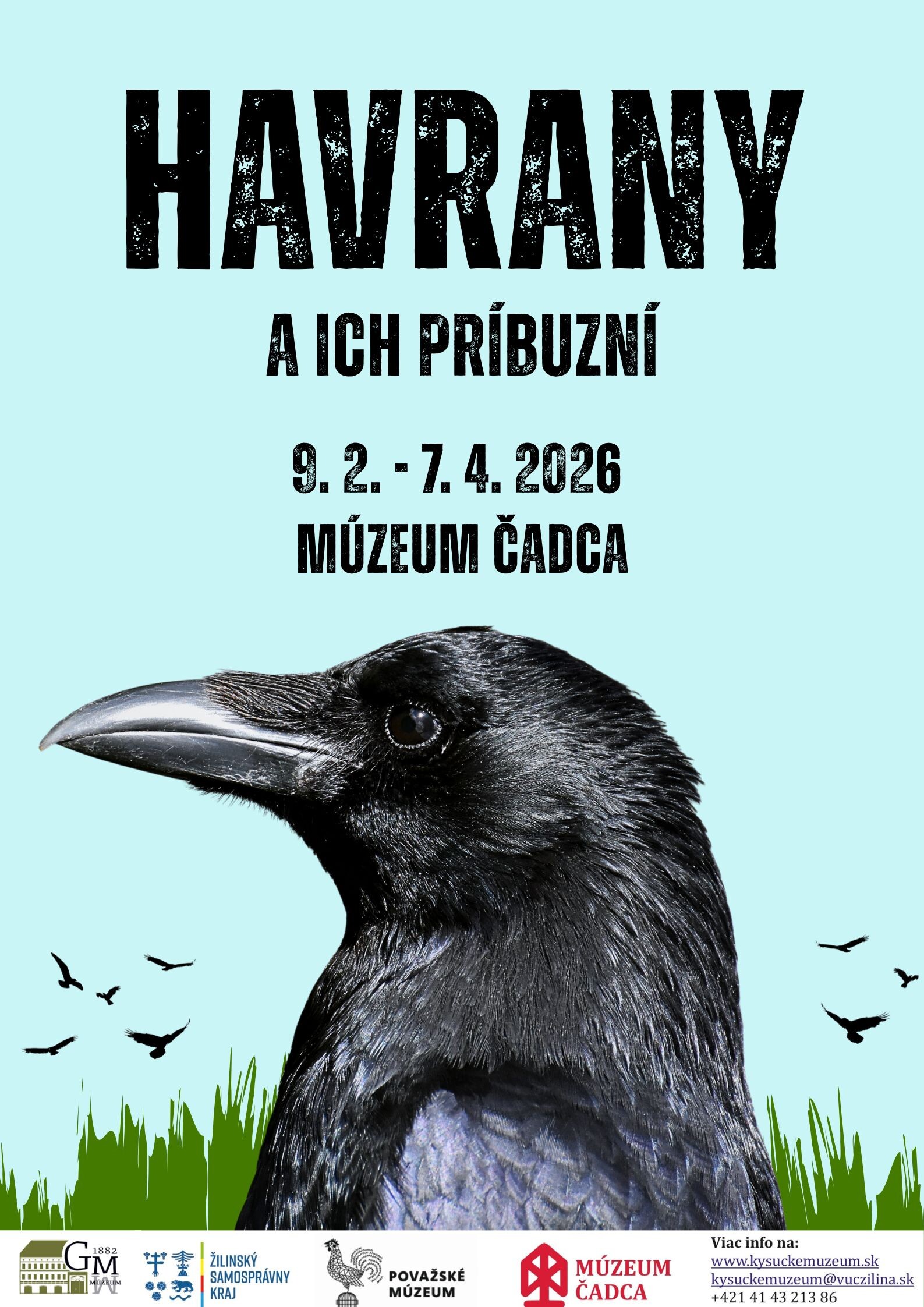 Havrany plagát