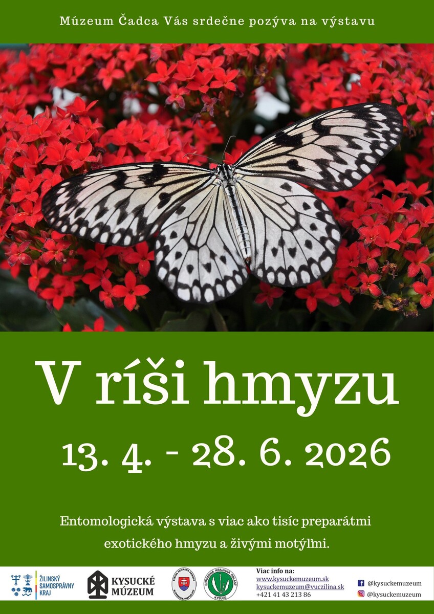 V ríši hmyzu plagát